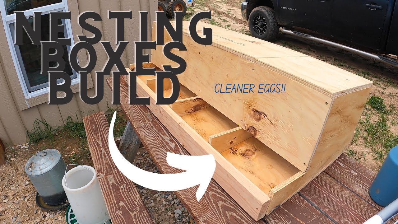 Nesting Boxes Build