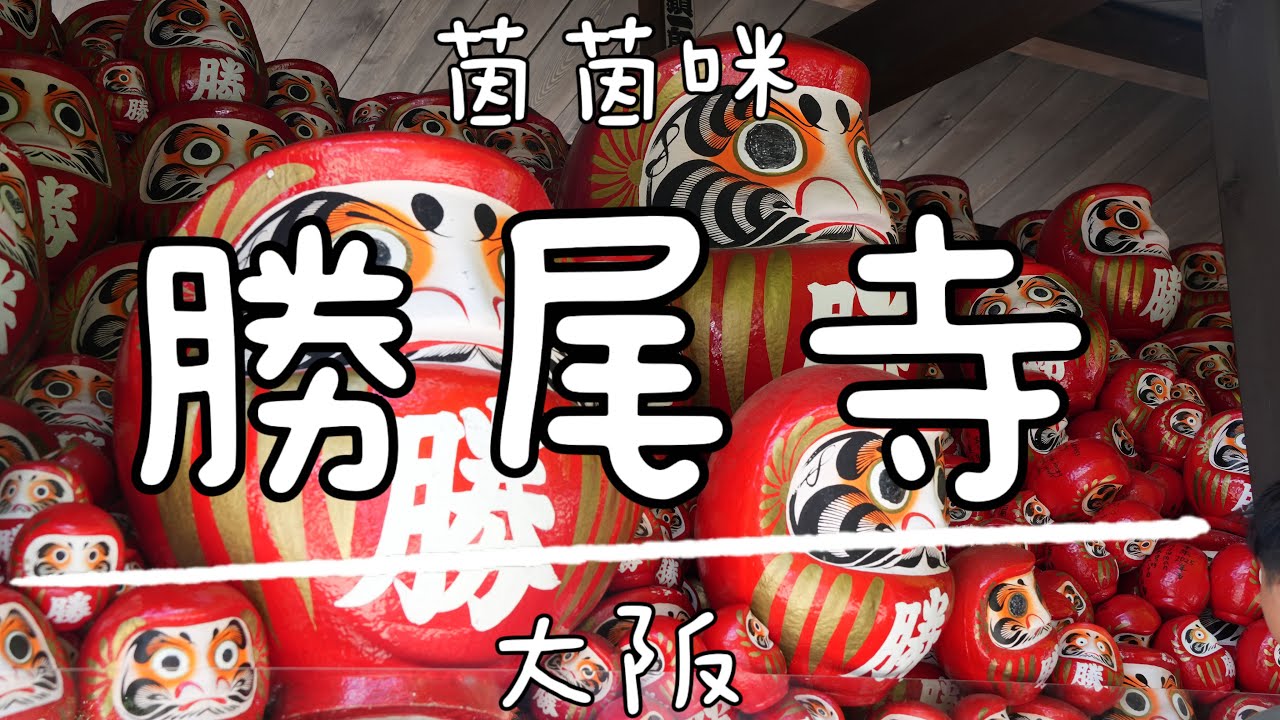 北近畿｜EP2-勝尾寺★達摩寺★大阪★用達摩許願★不可錯過網路人氣必拍景點達摩牆★茵茵咪★