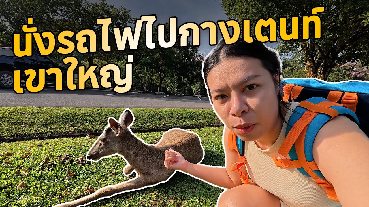 นั่งรถไฟเที่ยวเขาใหญ่| กางเตนท์นอนกับฝูงกวาง | น้ำตกเหวสุวัตและแวะบ่อน้ำผุด