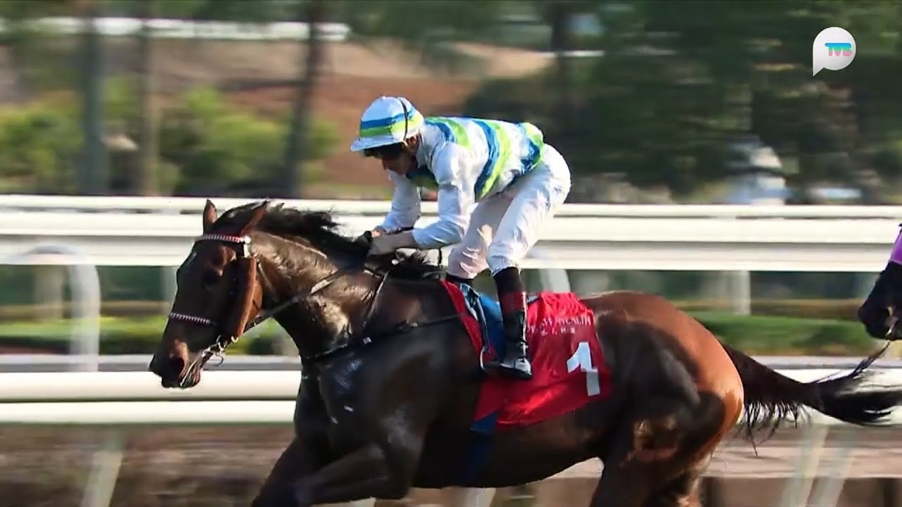 2024 馬會一哩錦標 Jockey Club Mile G2 - 遨遊氣泡 (Voyage Bubble) [E436] - 麥道朗 (J.Mcdonald)