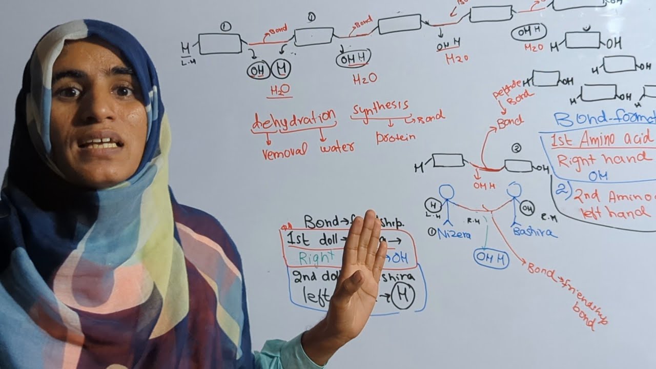Amino Acids and Protein |Biomolecules |Biochemistry |Class 11 Biology |Trailer Part 4