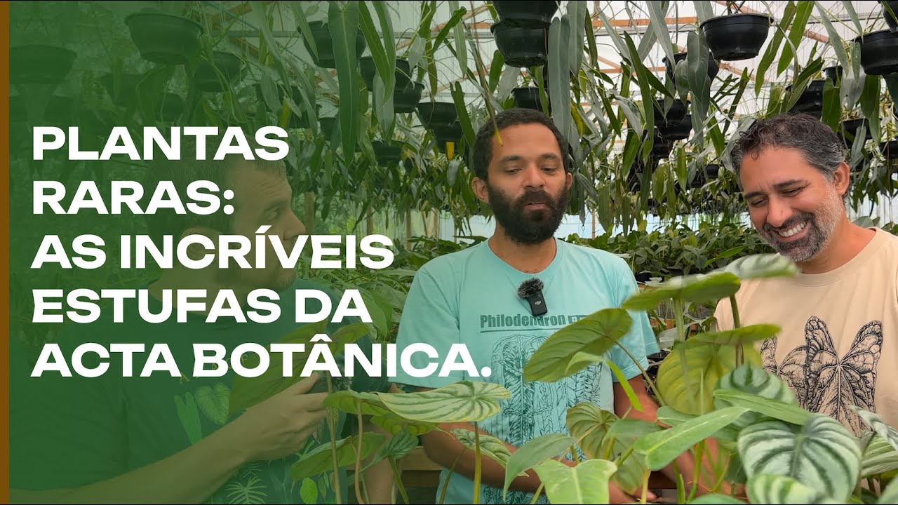 A MAIOR produção de PLANTAS raras do Brasil: a incrível Acta Botânica.
