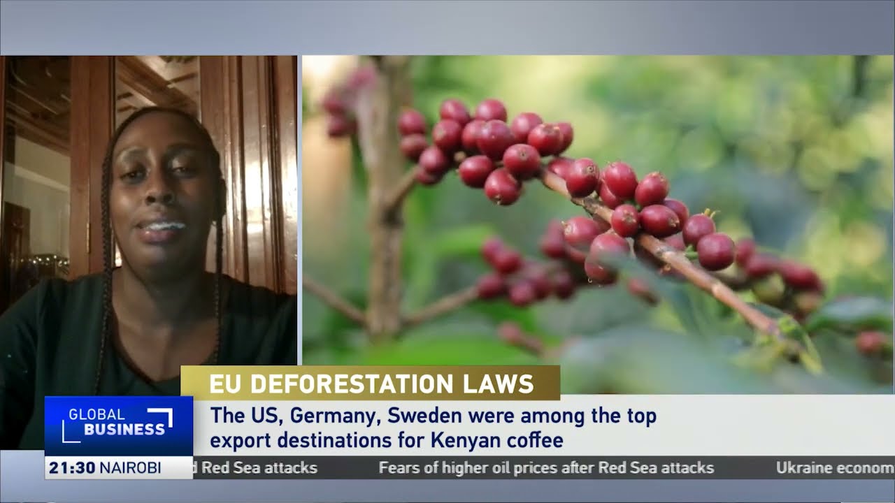 European Union regulations require crops to be grown in an area free of deforestation