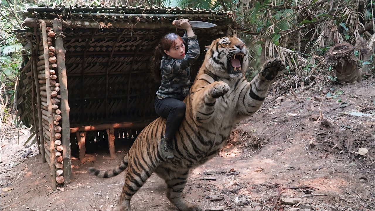 survival skills, building a new shelter and being attacked by wild animals, survival alone