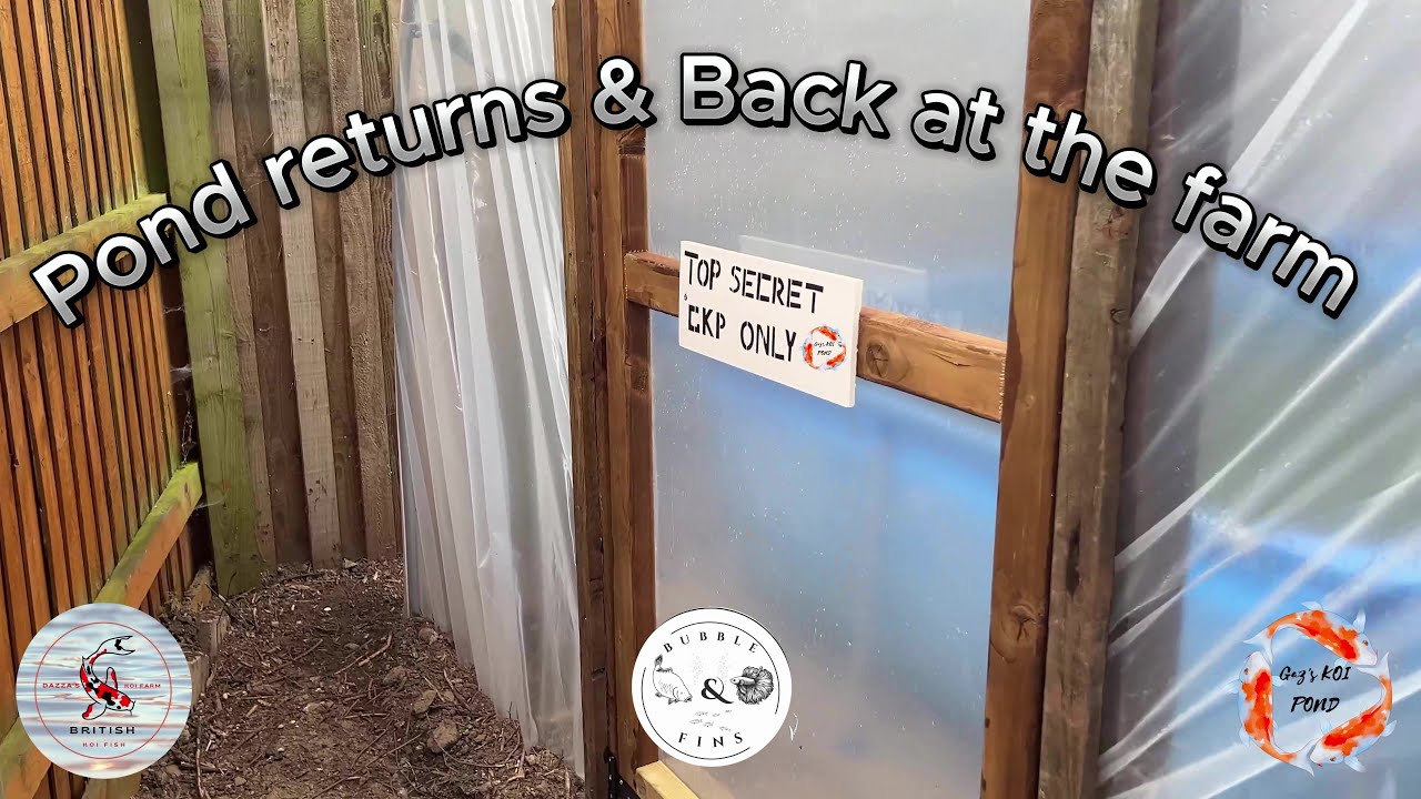 Pond returns & Back at the farm