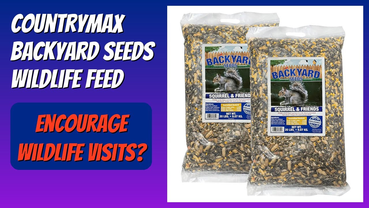 REVIEW (2026): CountryMax Backyard Seeds Wildlife Feed. Features