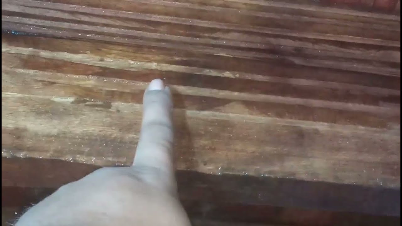 CARA MEMBERSIHKAN PAPAN SIRIP AGAR BURUNG WALET MUDAH MEMBUAT SARANG