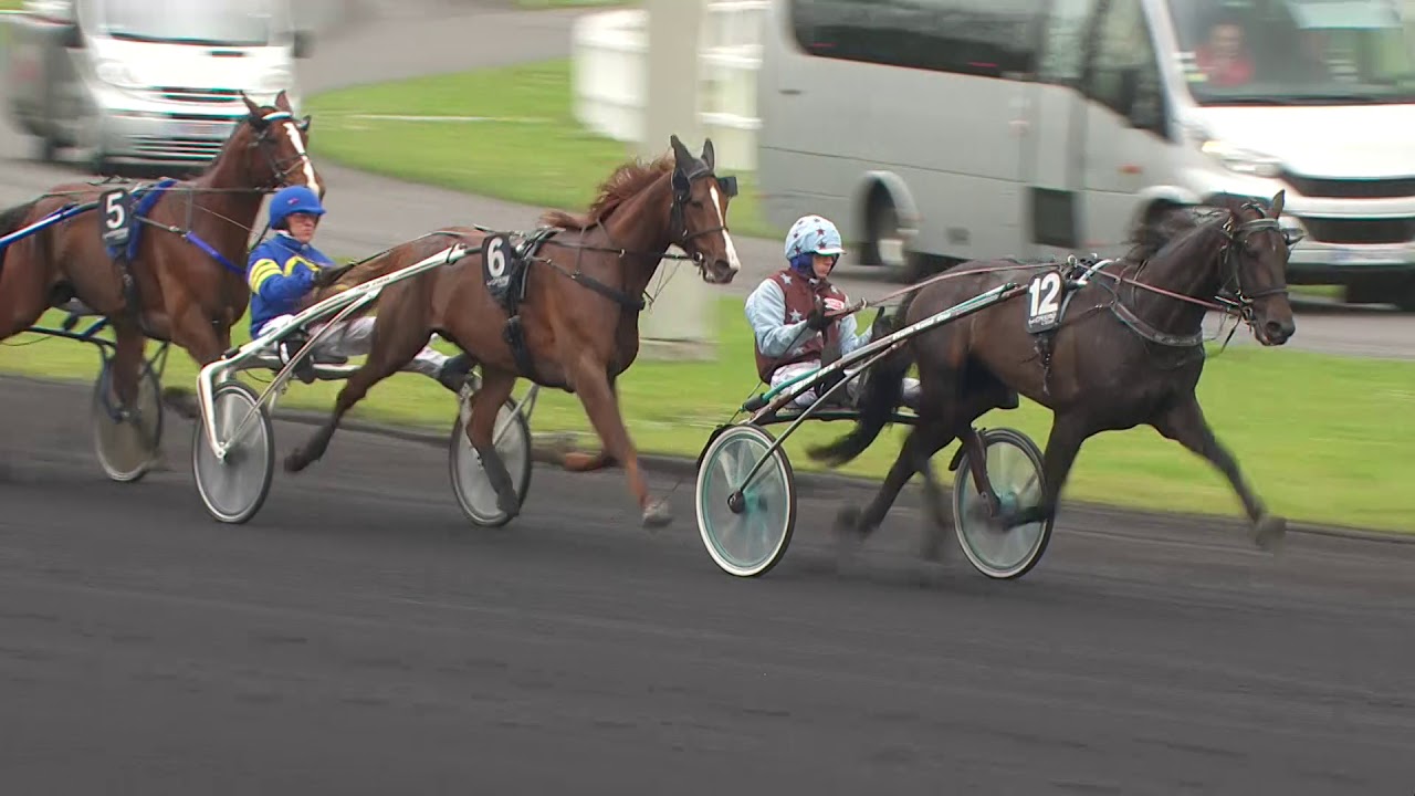 PRIX DE PARIS 2017 - BOLD EAGLE