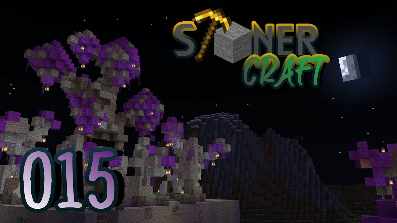 StonerCraft Ep015: Petrified Forest Idea!