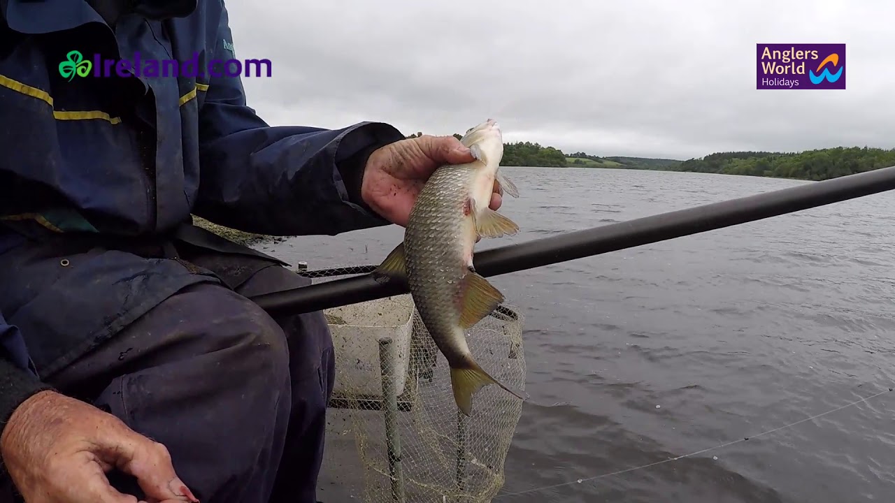 Francis McGoldrick Fishing the Waggler Ireland 2019