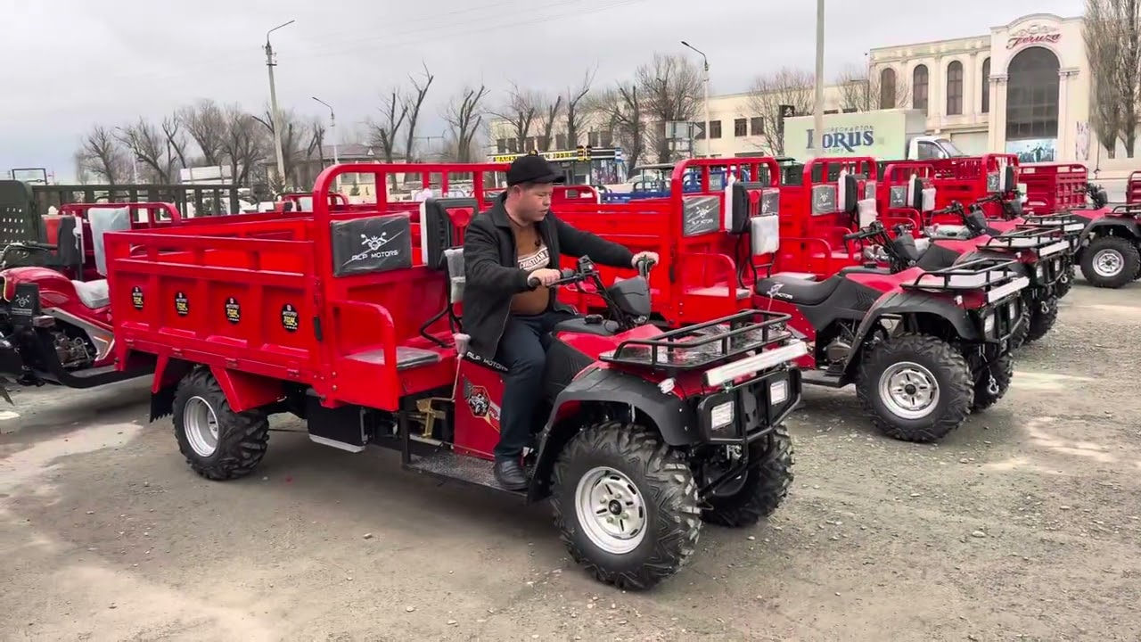 Alp motors 993550010 974844642 dastavka bor viloyatlarga
