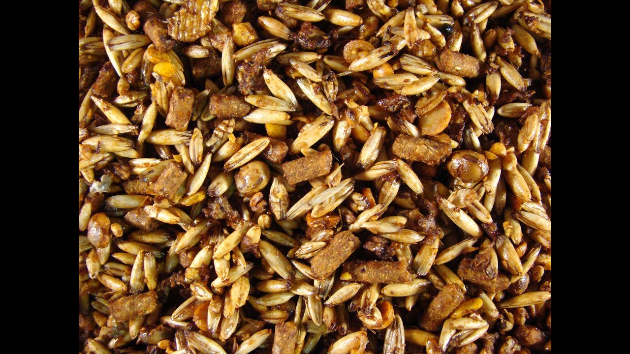 Top Quality Calf  Feed  with 10 % Molasses - Made in the Continental Rollo Mixer