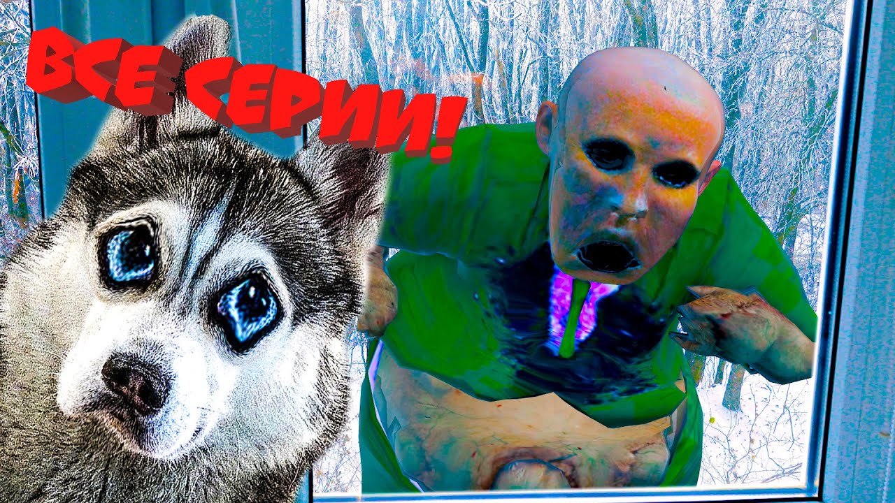 ЭЙ МУЖИК ОСТАНОВИСЬ НА МИНУТУ!! Все серии подряд! (Хаски Бандит) Говорящая собака