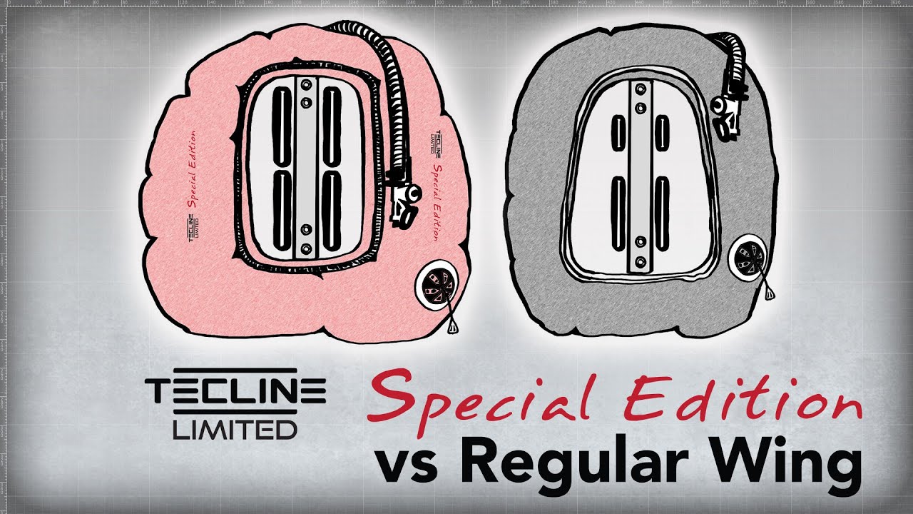 Tecline Donut Special Edition vs Regular Wing