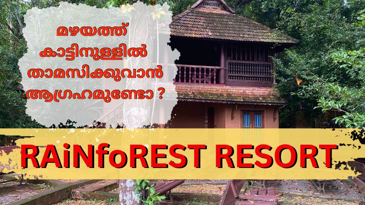 24x7 മഴ പെയ്യുന്ന കോട്ടയത്തെ റിസോർട്ട് Rainforest Ayur County Resort