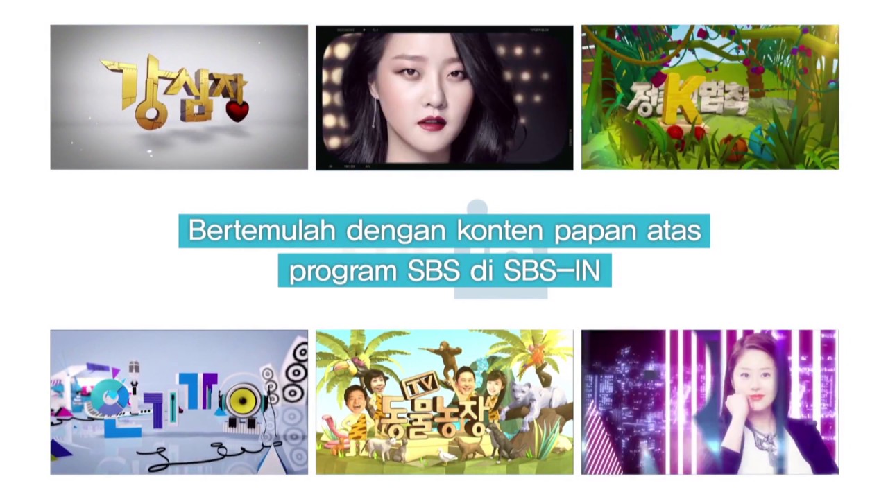 Introduce SBS-IN