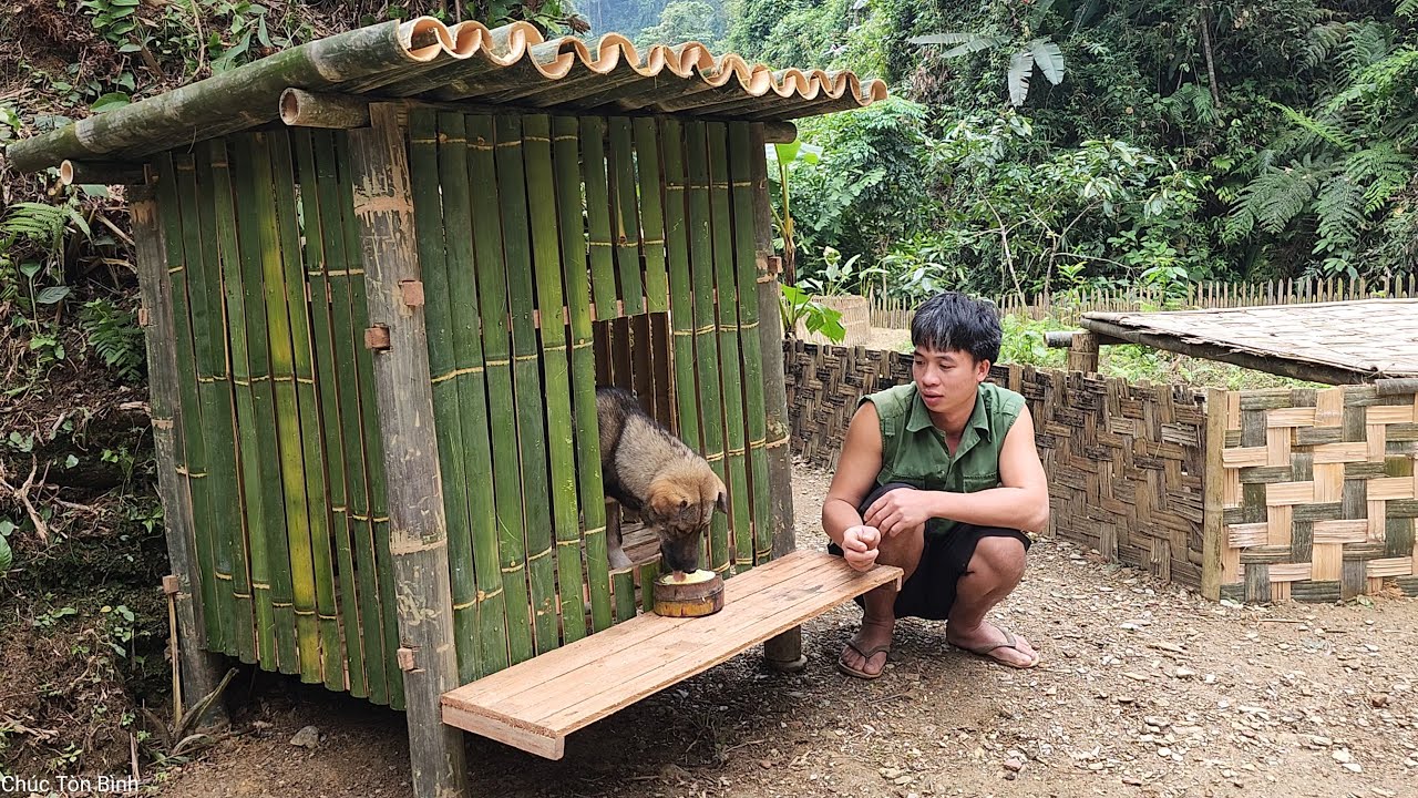 HOW TO BUILD AMAZING DOG HOME USING BAMBOO 2022 - Ep.38