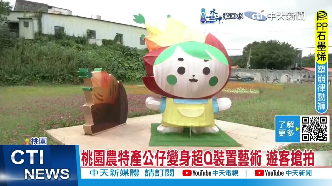 【每日必看】2024桃園花彩節 12公頃圖騰花田震撼吸睛 20241120
