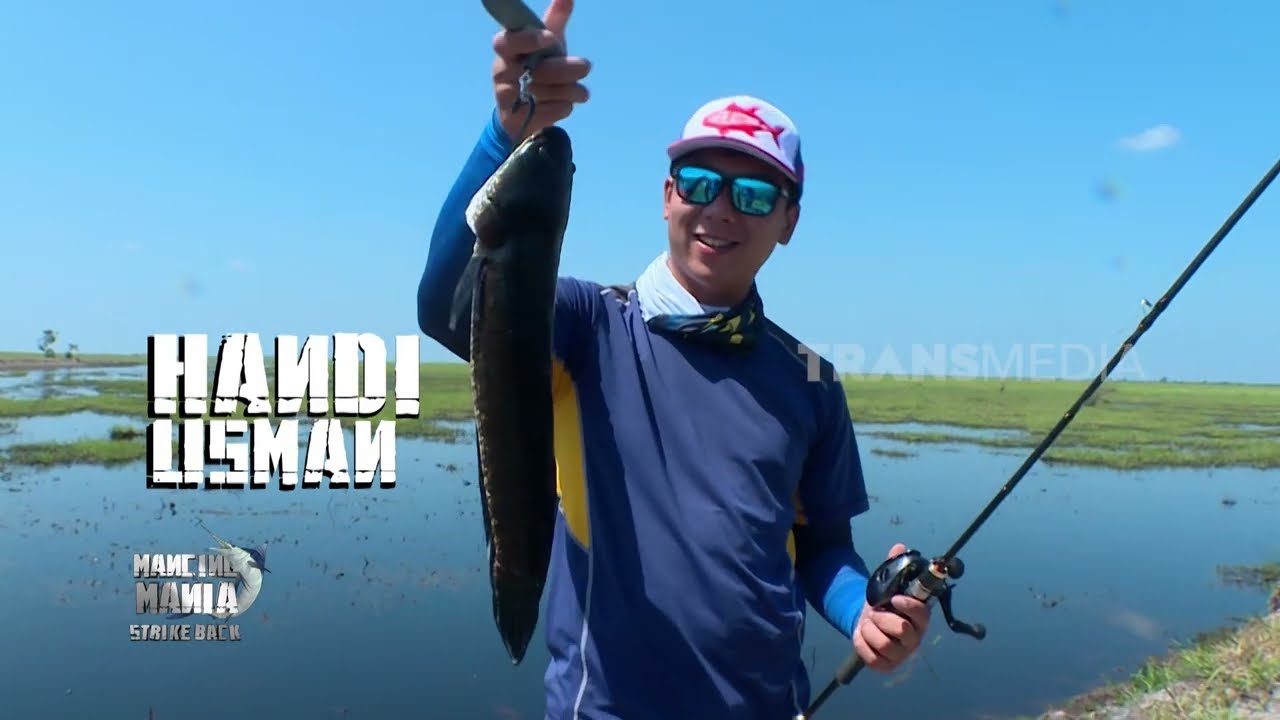 Berburu Strike Gabus Dengan Teknik Casting | MANCING MANIA STRIKE BACK (04/08/24) Part 1