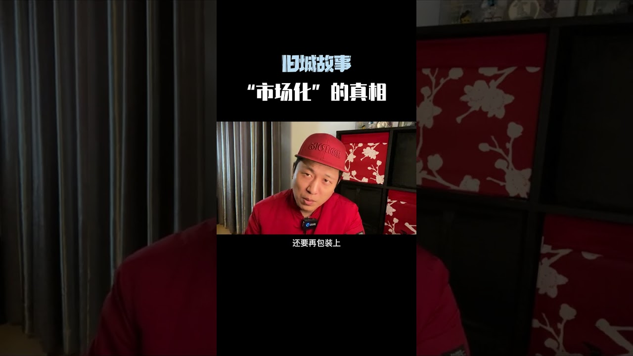 揭露&ldquo;市场化&rdquo;的真相 #历史 #故事