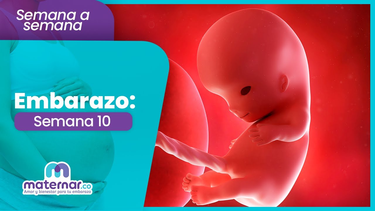 Semana 10 de embarazo: ¿Qué cambios ocurren? | Maternar.co