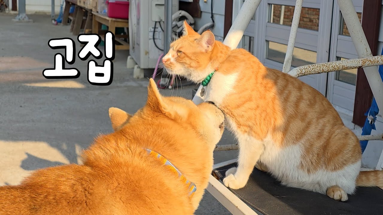 이제 시작되었습니다