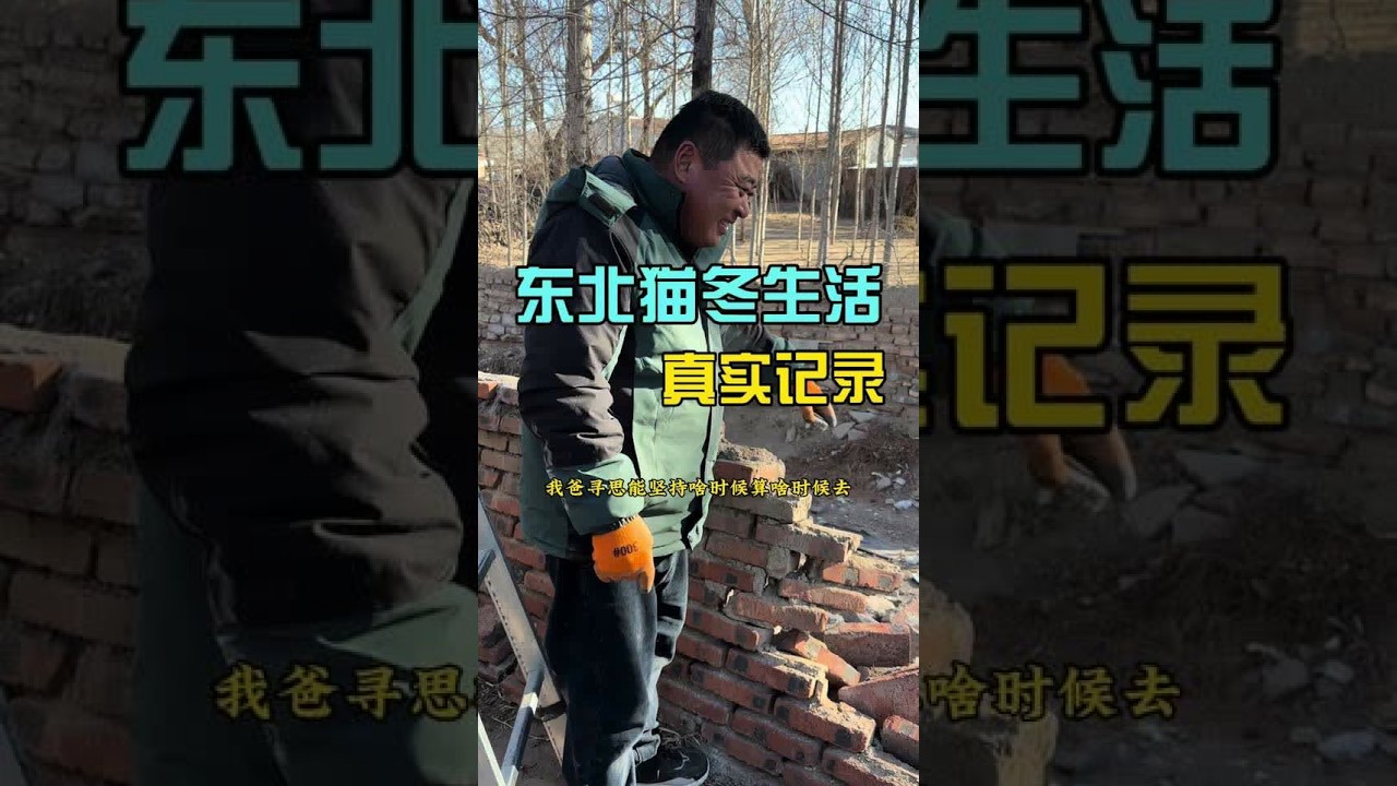 东北农村生活之一天都干了点啥 #vlog十亿流量扶持计划 #农村生活  #青年创作者扶持计划 #新农人计划