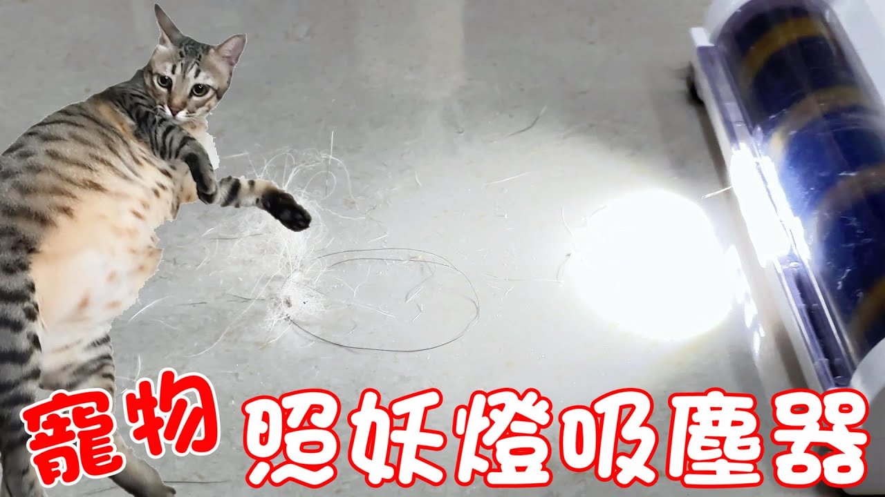 大掃除必備的寵物照妖燈吸塵器 ft.NICONICO 吸光淨
