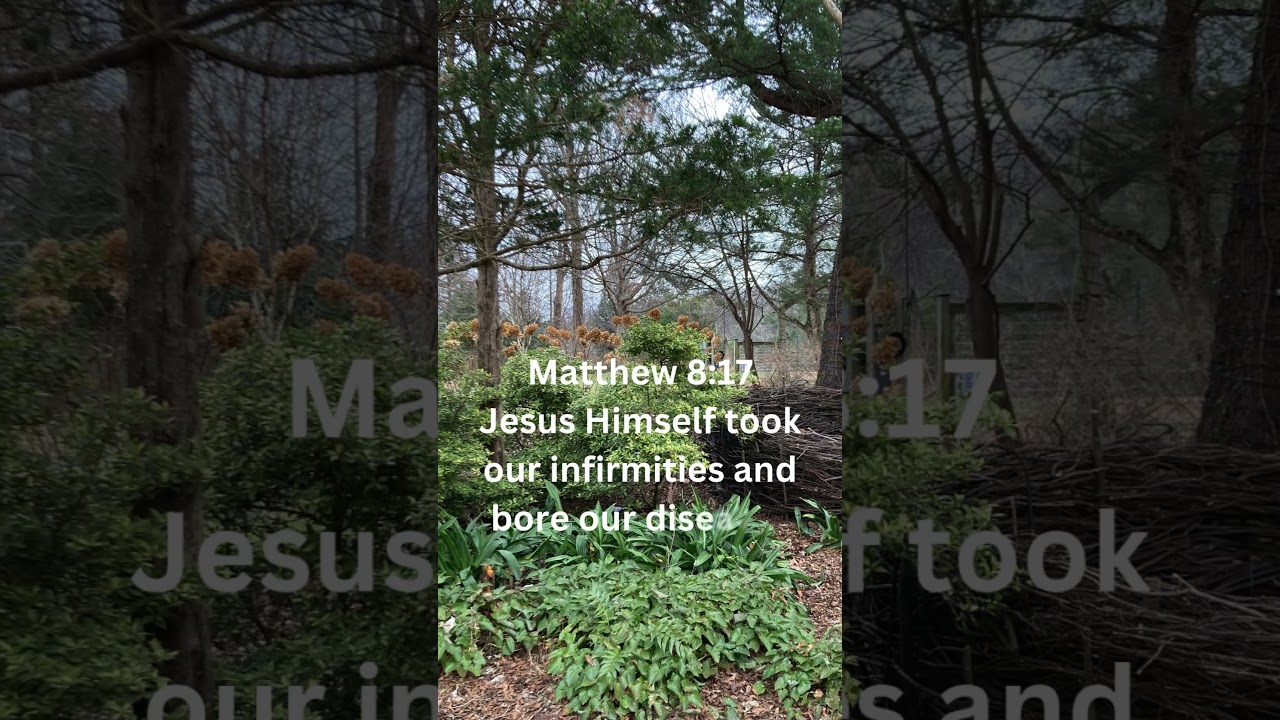 Matthew 