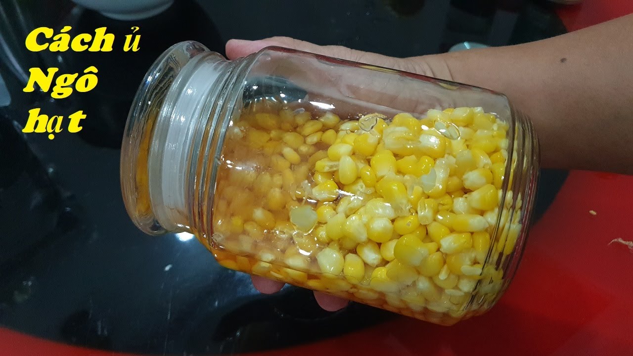 Как инкубировать сладкую кукурузу для ловли карпа и использовать, когда много мальков