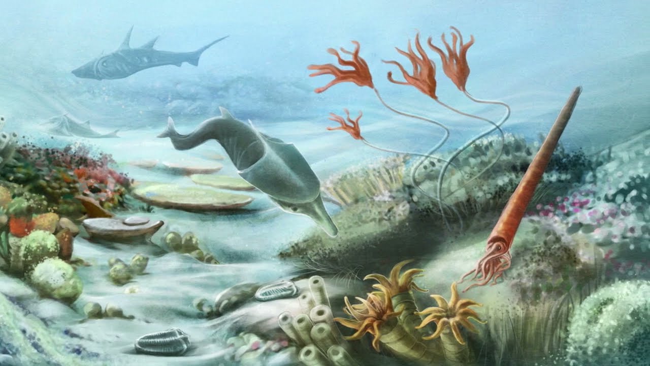 History of the Earth Part 2: Phanerozoic Eon &ndash; Paleozoic Era