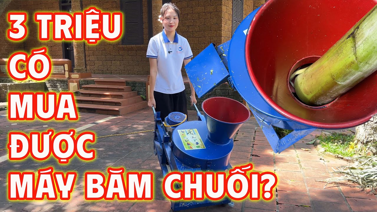 3 triệu có mua được máy băm chuối không? Bình Quân