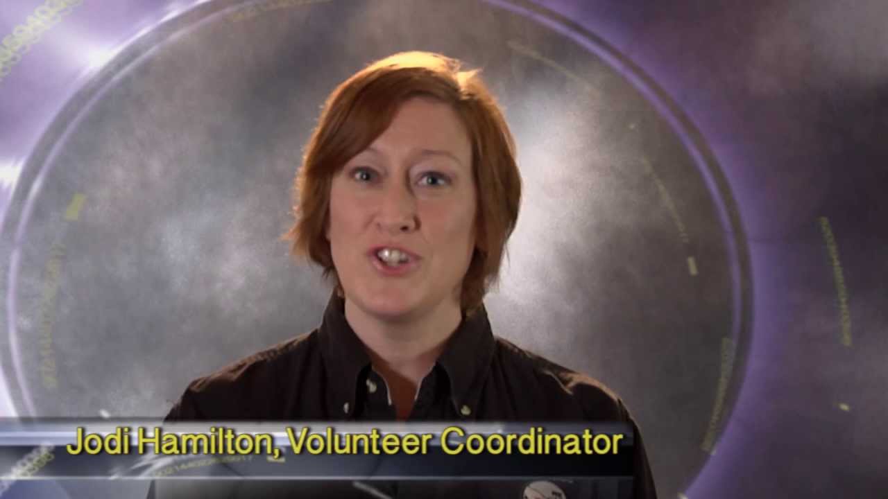 Volunteer With Animals - The Process