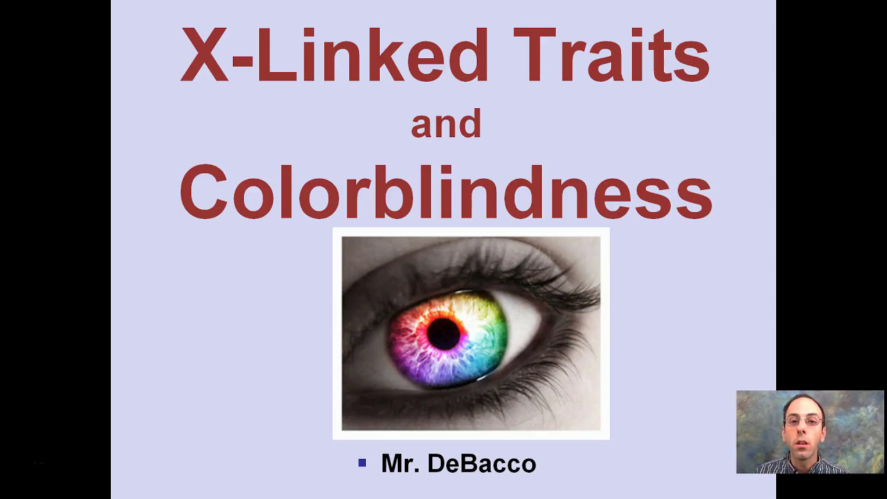 X Linked Traits and Colorblindness