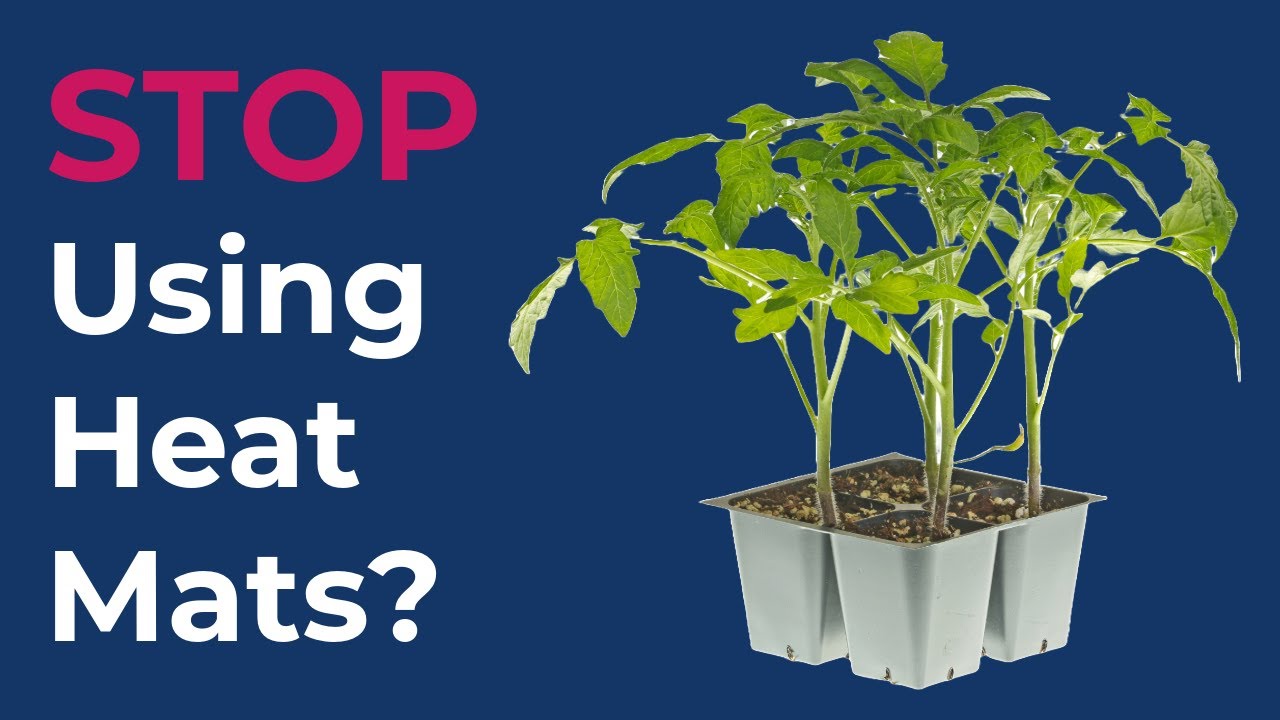 Plant Seedling Heat Pads - Why You Shouldn&rsquo;t Use Them, Unless&hellip;