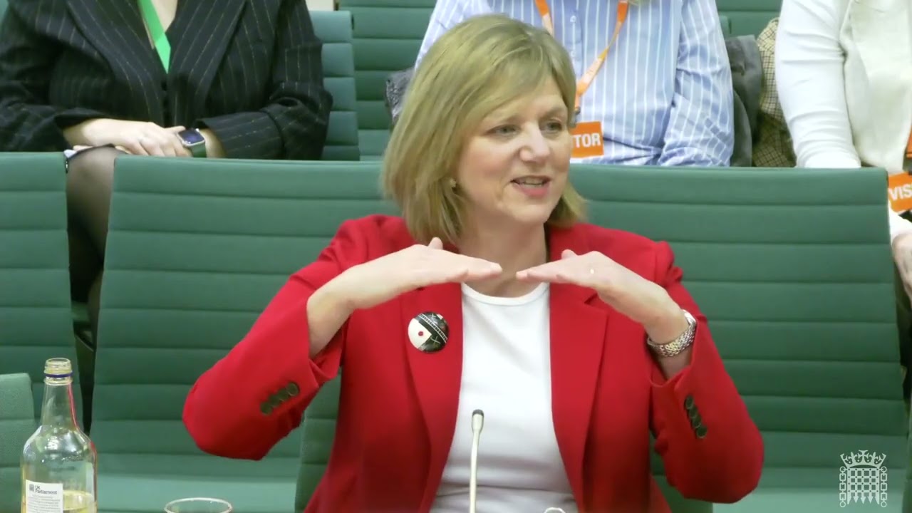 Licensing of taxis and private hire vehicles - Transport - Select Committee - 14/01/2026
