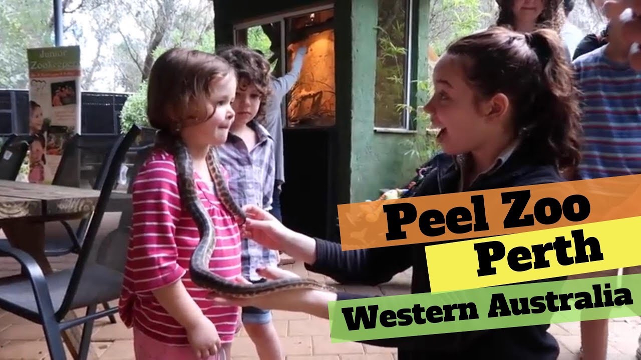 Peel Zoo, Perth WA