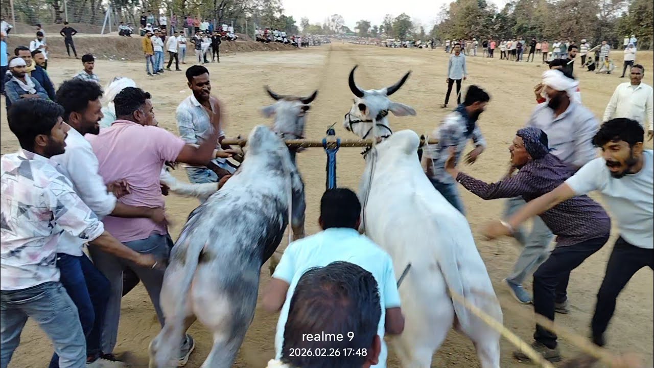 शुक्ला जी सिवनी बाजीराव और रबाज भाई मोहगांव वाला बांडा दुल्हापुर पट स्टार्टिंग पांइट से छुटते हुए 