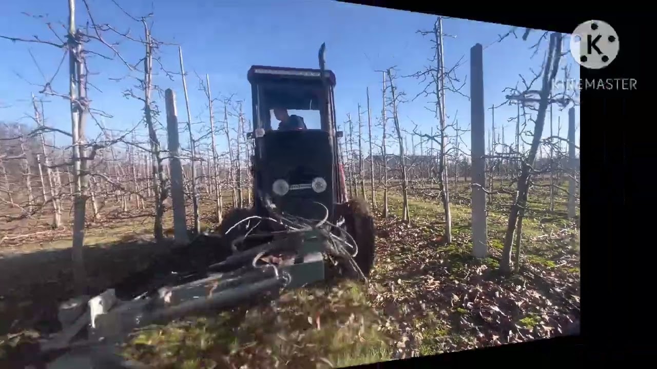 Wygarniacz gałęzi i kosiarka URSUS 3502 w akcji.