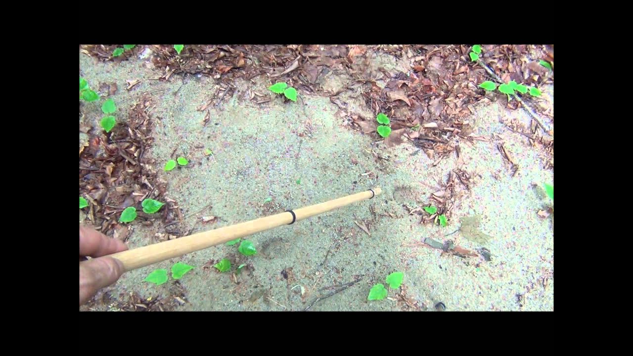 The Tracking Stick