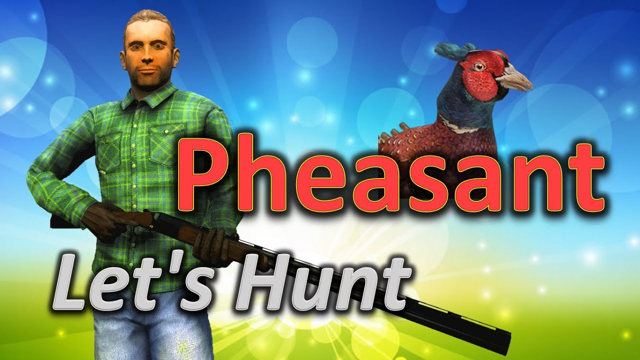 Let's Hunt PHEASANT - theHunter Classic