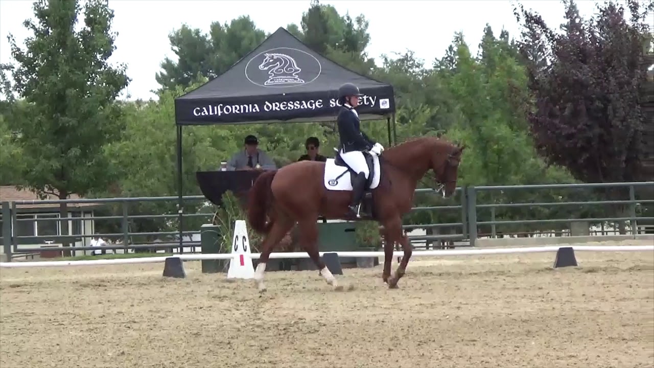 Fabio and Ari - Annual Show - 67.56%  - Third Level Test 3