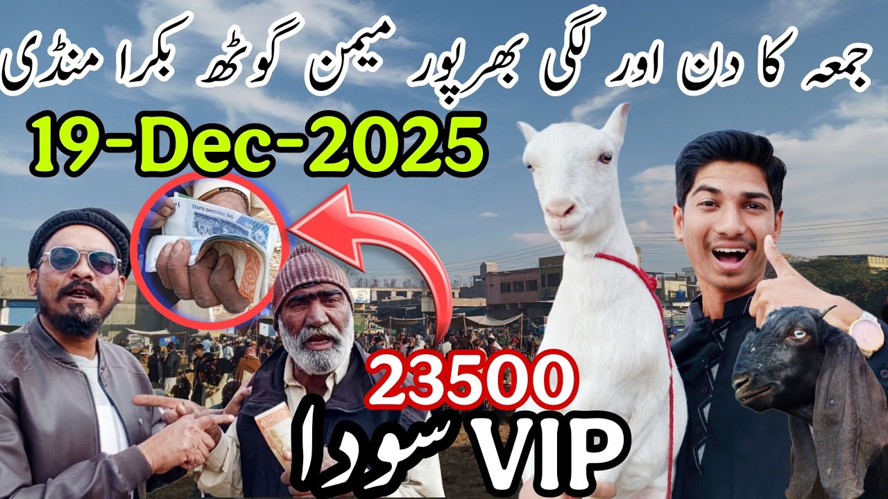23500 Ka Zabardast Soda🥰 | Friday Memon Goth Bakra Mandi Latest Updates | 19-12-2025 |@AhmedKSath