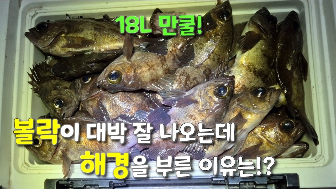 또 해경을 불렀습니다.. 이런 경우도 생기네요