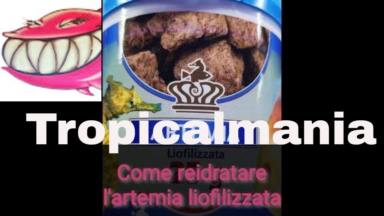 Artemia salina liofilizzata shg. Come reidratarla
