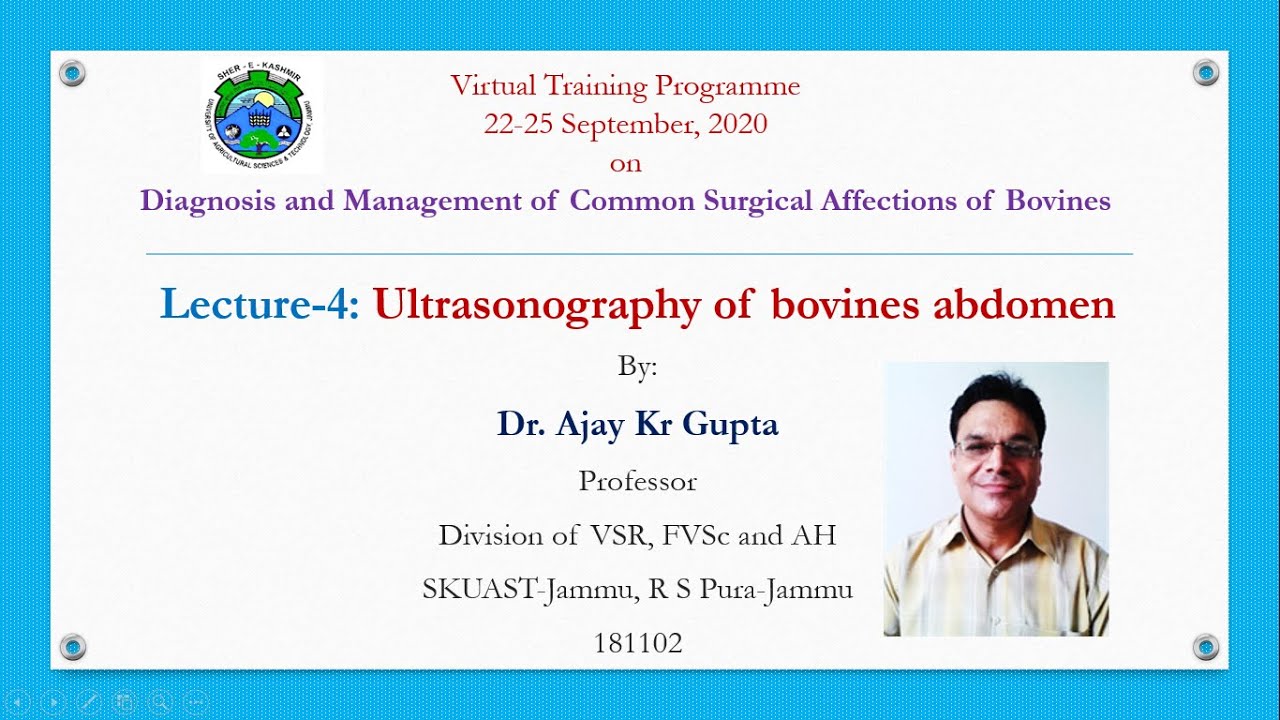 VTP 2020, Lecture-4: Ultrasonography of bovines abdomen by Dr. Ajay Kumar Gupta