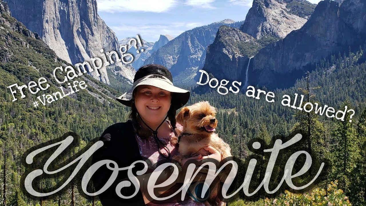 Minivan Camping At Yosemite | Exploring the park and finding FREE camping. (Easy VanLife NP!)