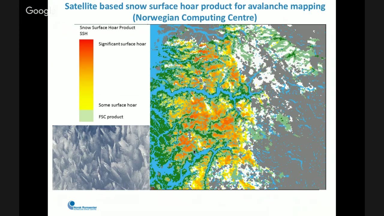 Citizen science and space #HepaticaWeek