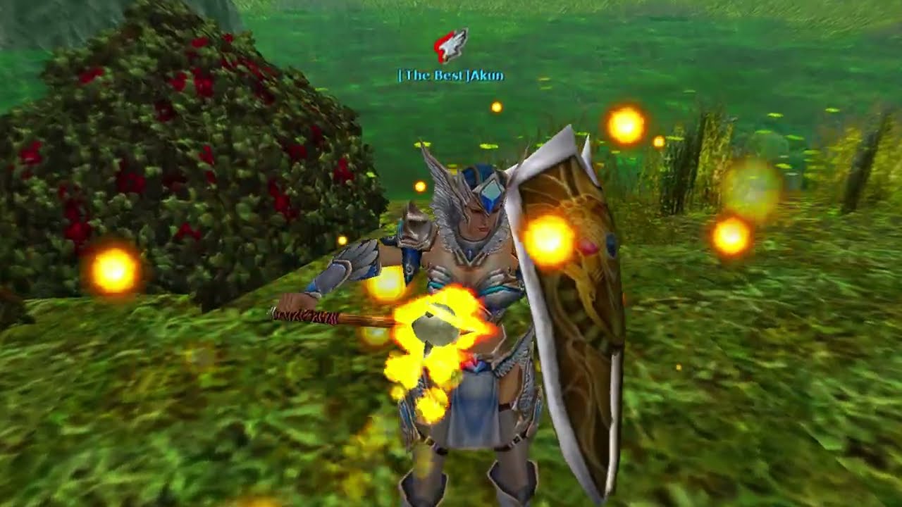 Knight Online Oreads. Akın, CC priest, PK serisi: 66