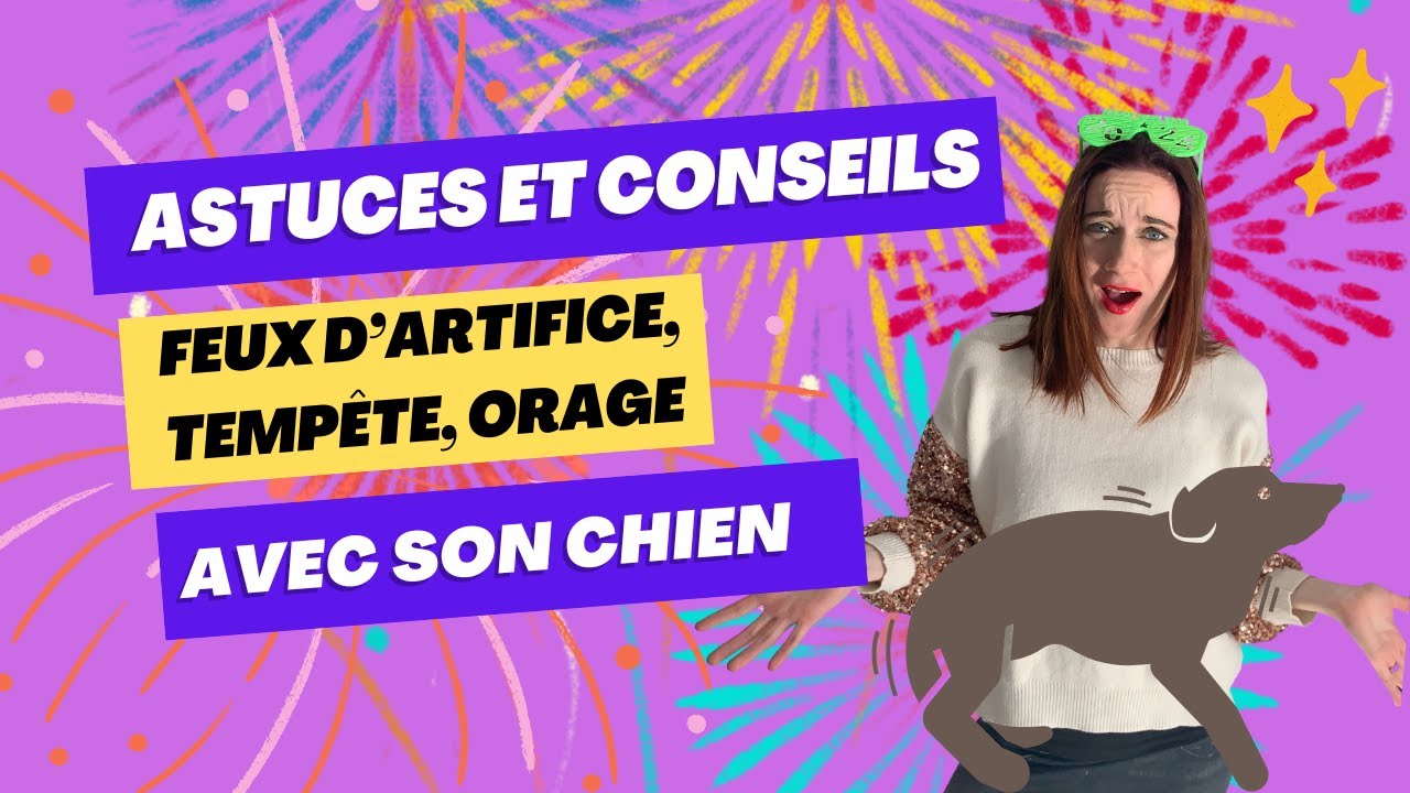 A & C : Feux d'artifices, tempête, orage que faire ? Mon chien a peur !!!!